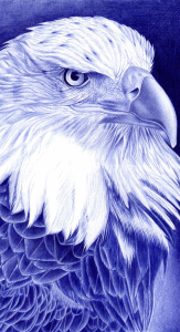 Blue Eagle