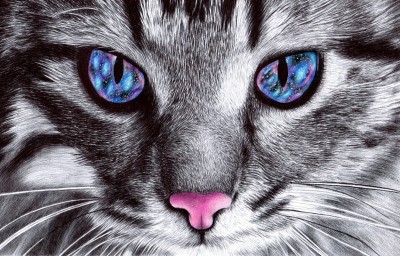 Galaxy Cat Eyes