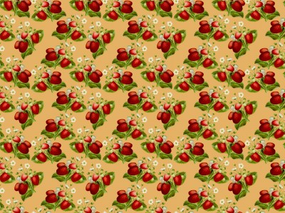 Strawberry Blossom Pattern
