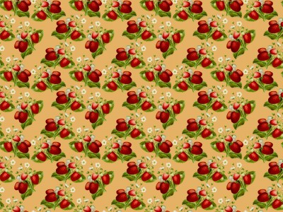 Strawberry Blossom Pattern