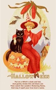 Vintage Halloween Postcard Witch's Familiar