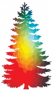 Rainbow Pine