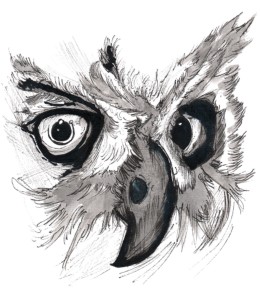 Owl Look