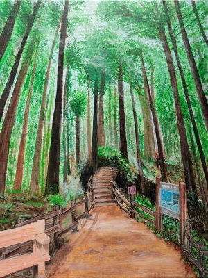 Muir Woods