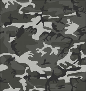Winter Camouflage Pattern
