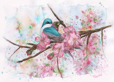 Tree Swallow Watercolor