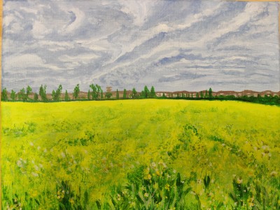 Yellow Field