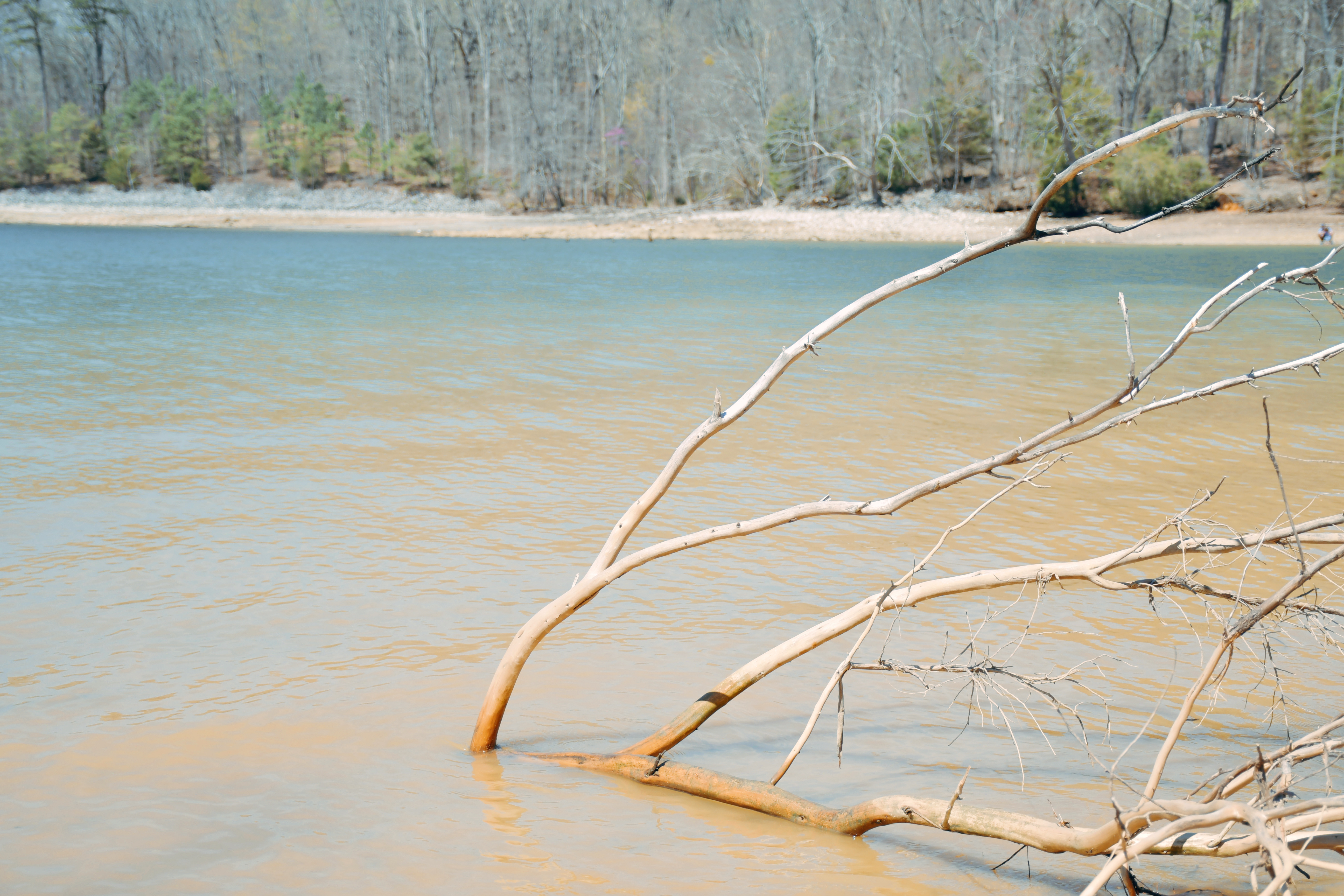 6EE864C1-4D8C-4110-9603-8