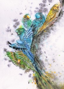 Budgie Bunch