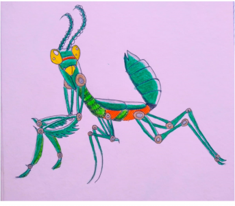 mantis