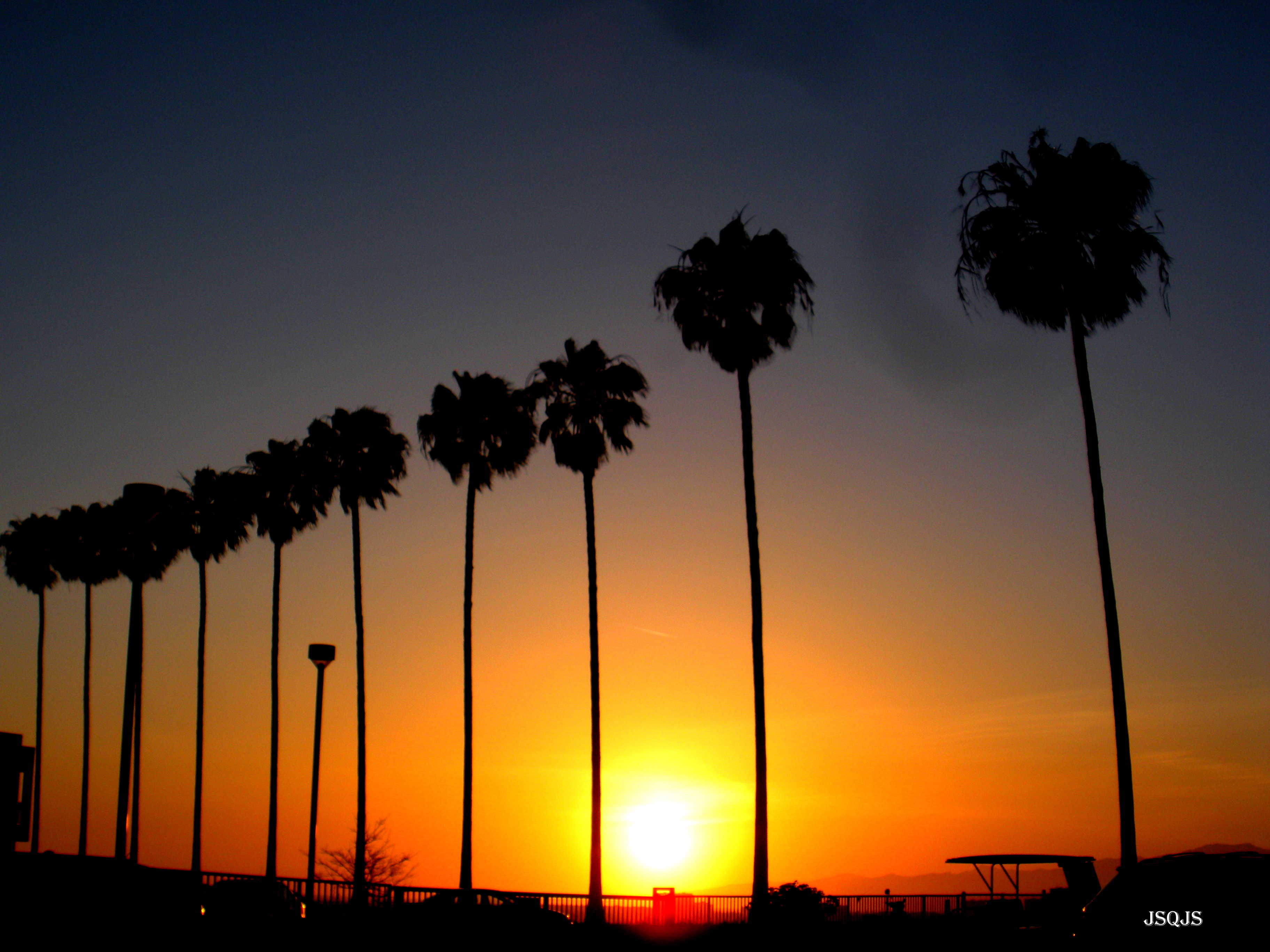 Golden_Nugget_and_Palms