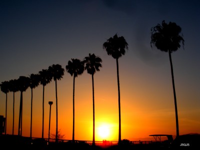 Golden Nugget & Palms