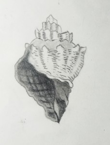 Sueños de lado izquierdo 