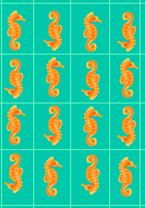 Sea Horse Days