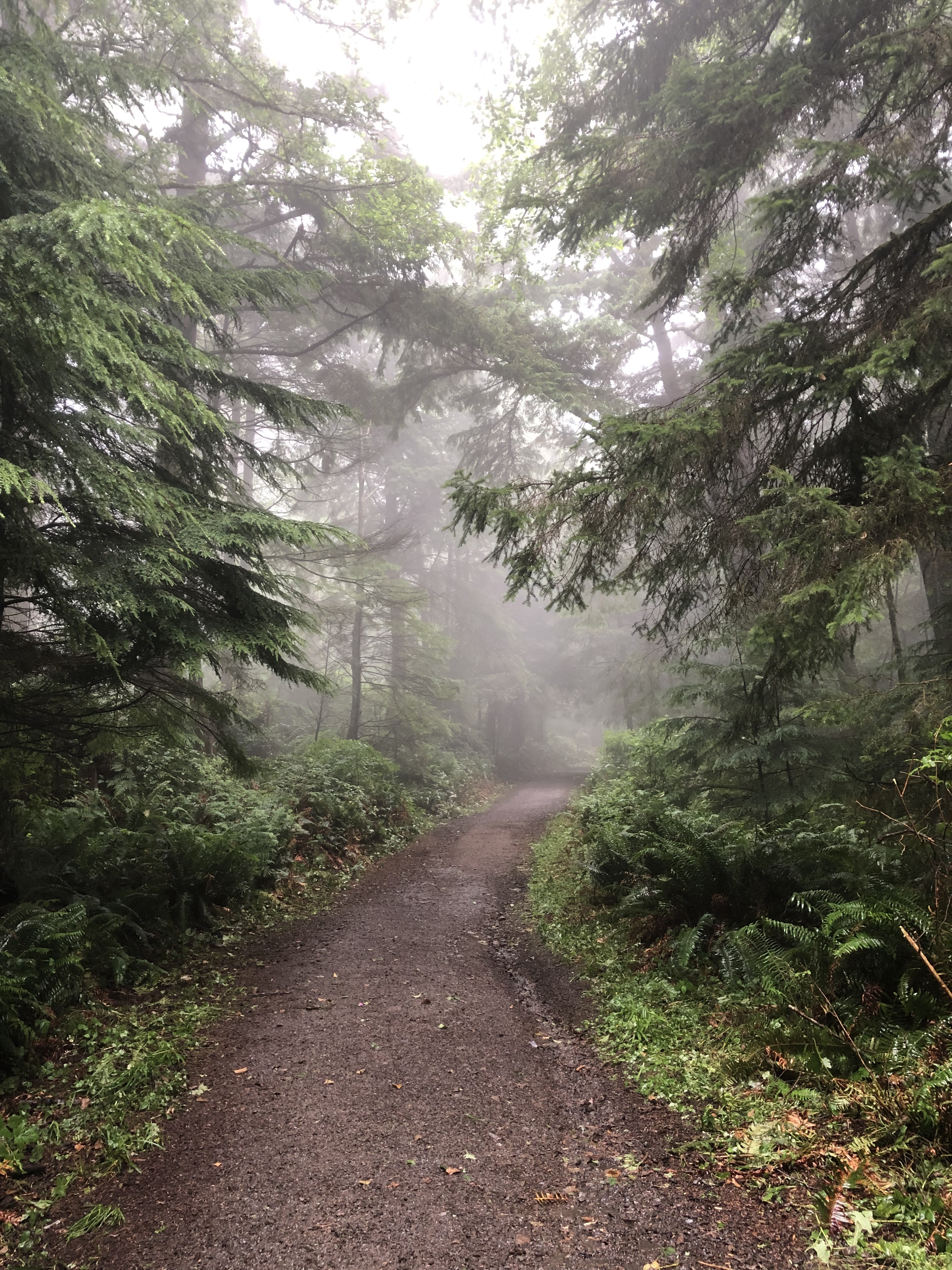 8A2116CA-69FB-4DD4-B624-7