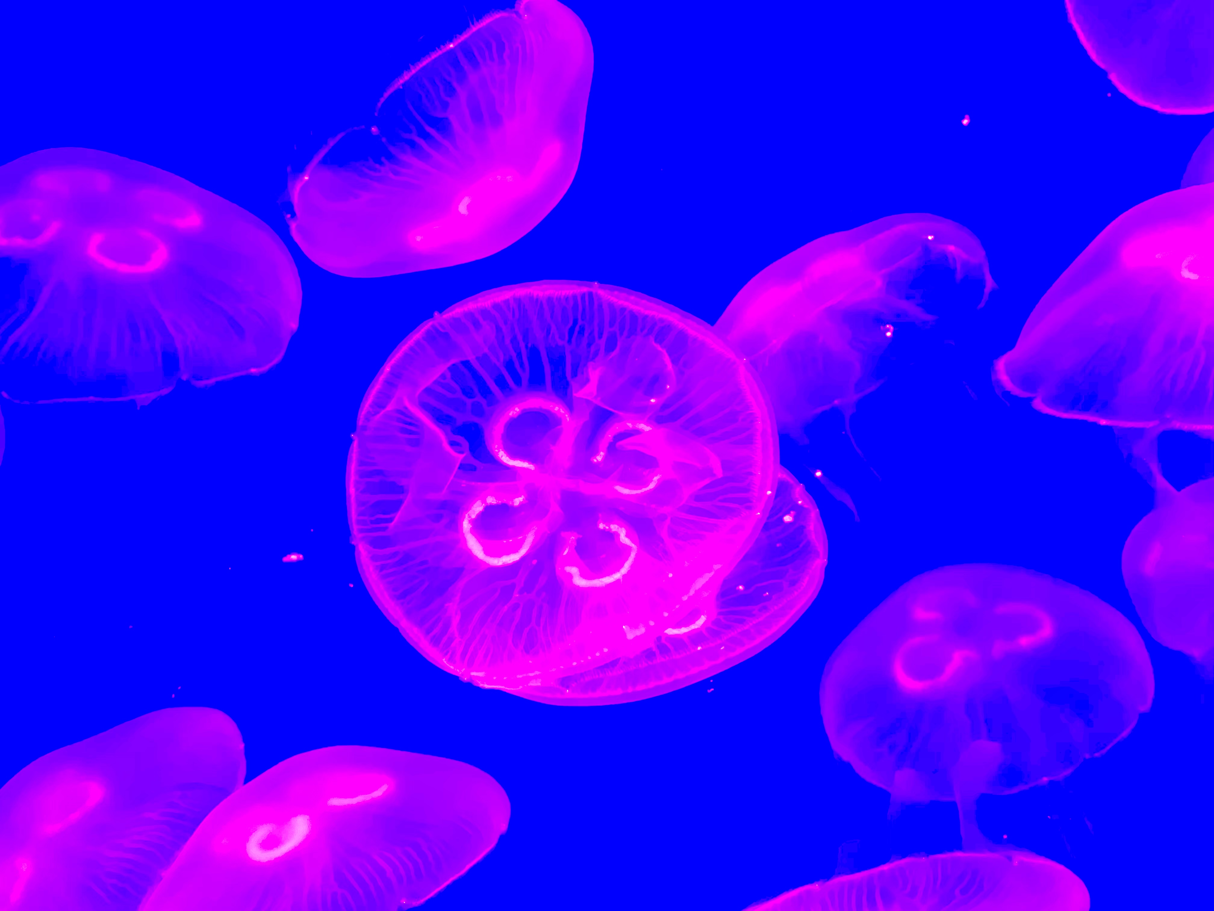 CEAE2AC7-AE89-4E07-9C74-0