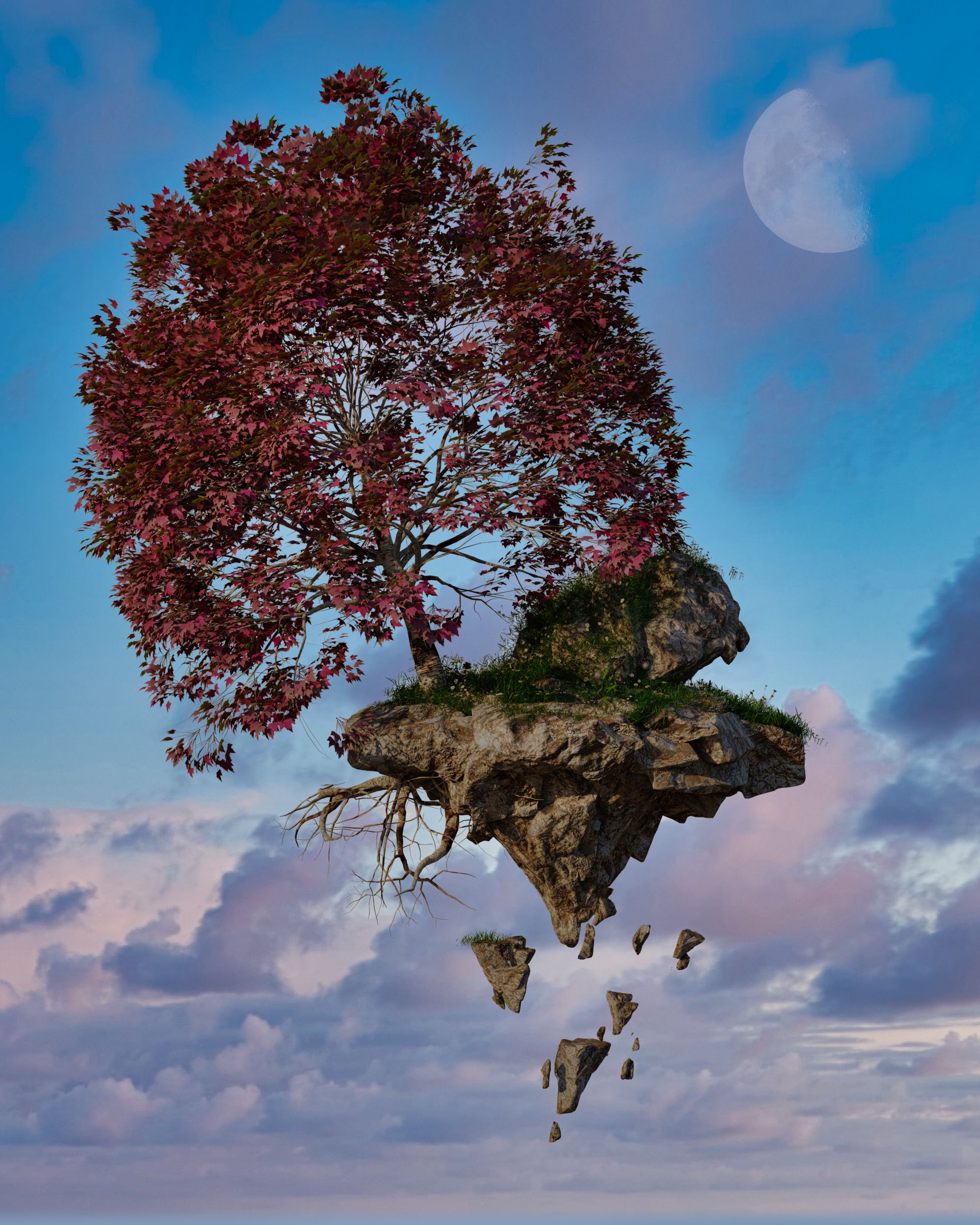 Day_427_-_Floating_Island