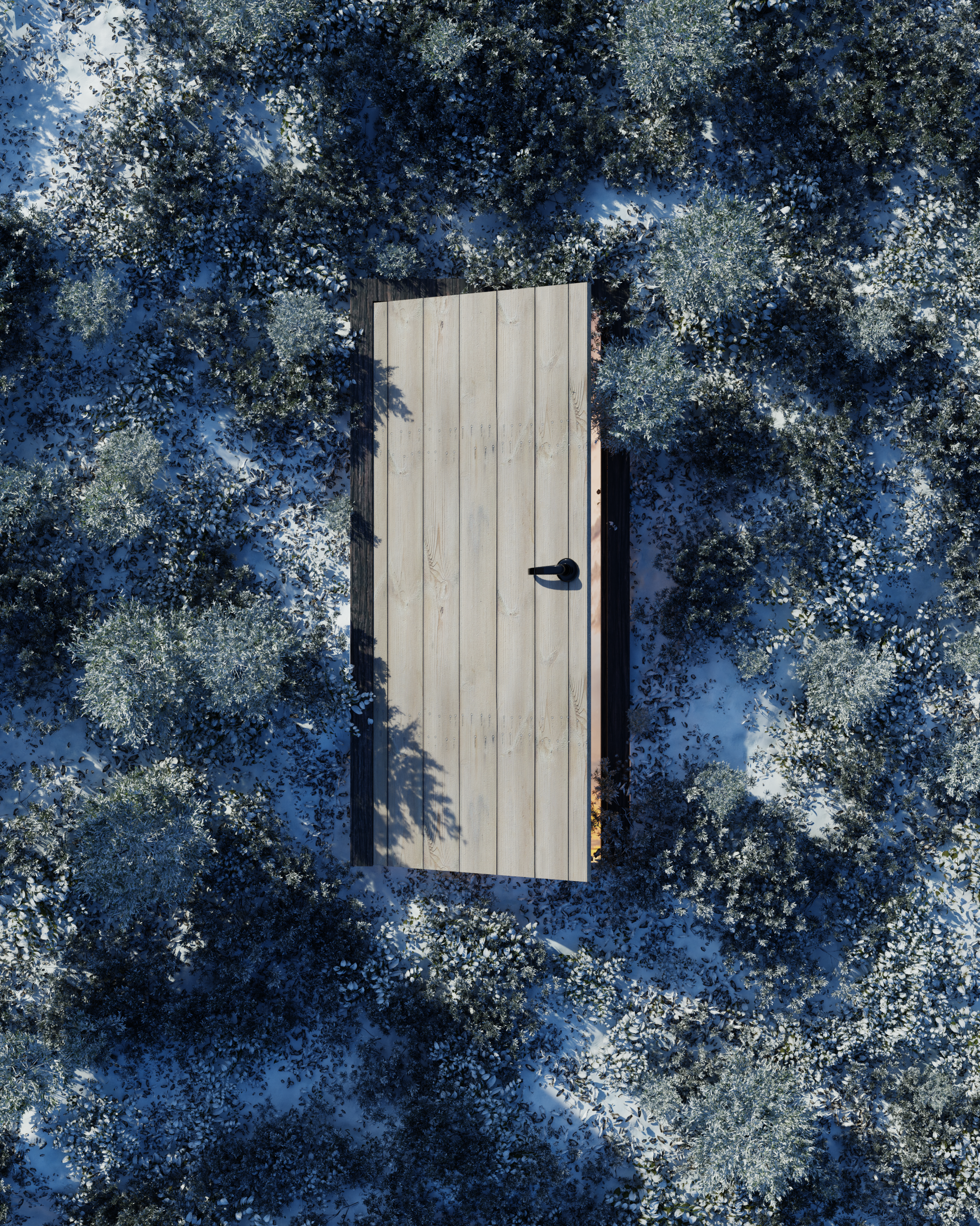 Day_438_-_Door_of_Opportun