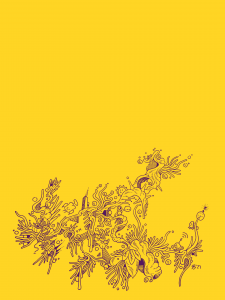 I have landed on a gaseous cloud. There are many life forms to befriend.