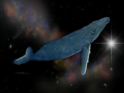 All Whales Go to Heaven