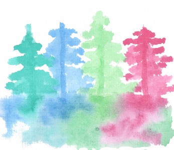 Rainbow Forest