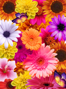 Flowery background