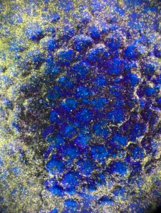 AXOLOTL PAINTING MICROSCOPIC TEXTURES 6