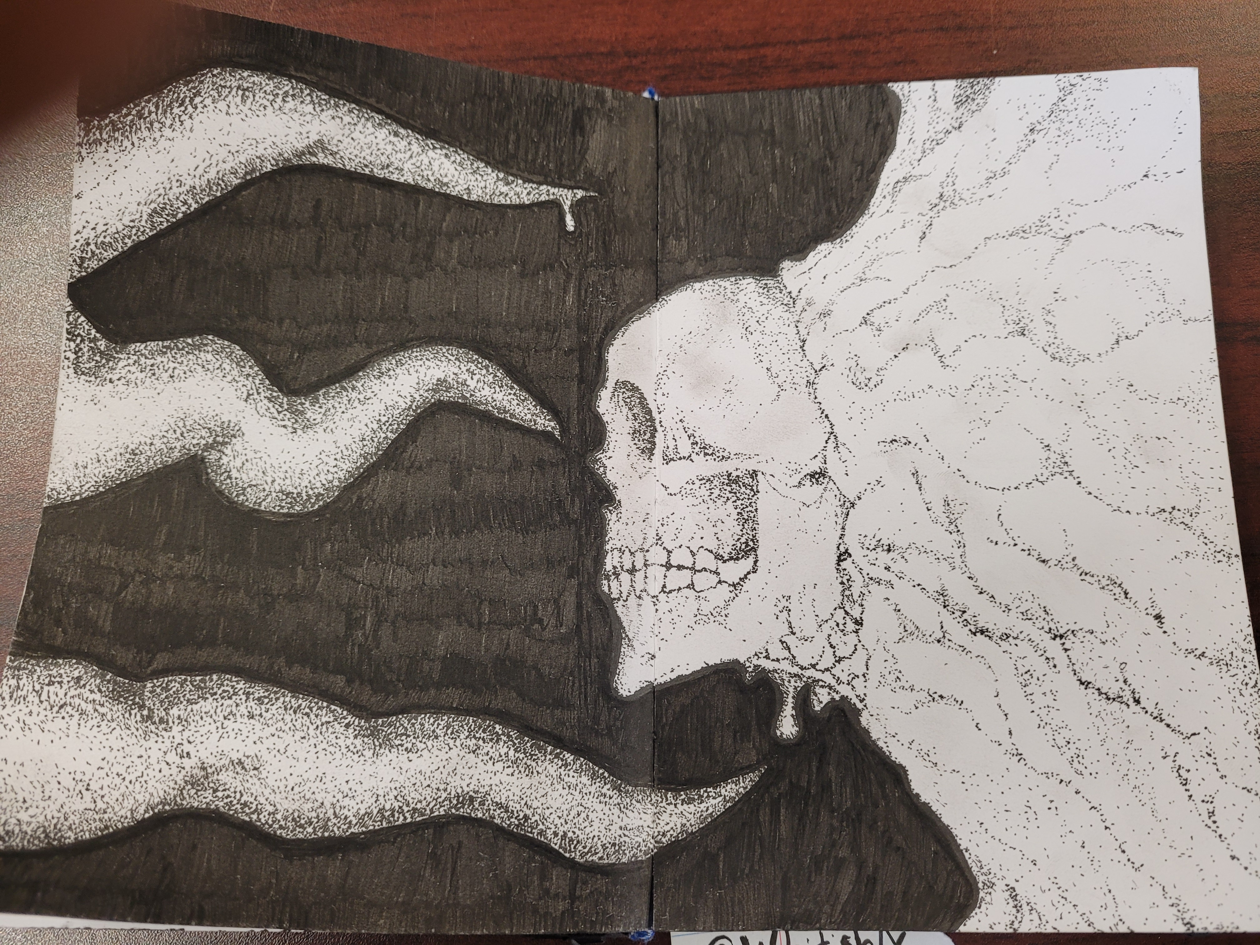 16234265675887639362558251