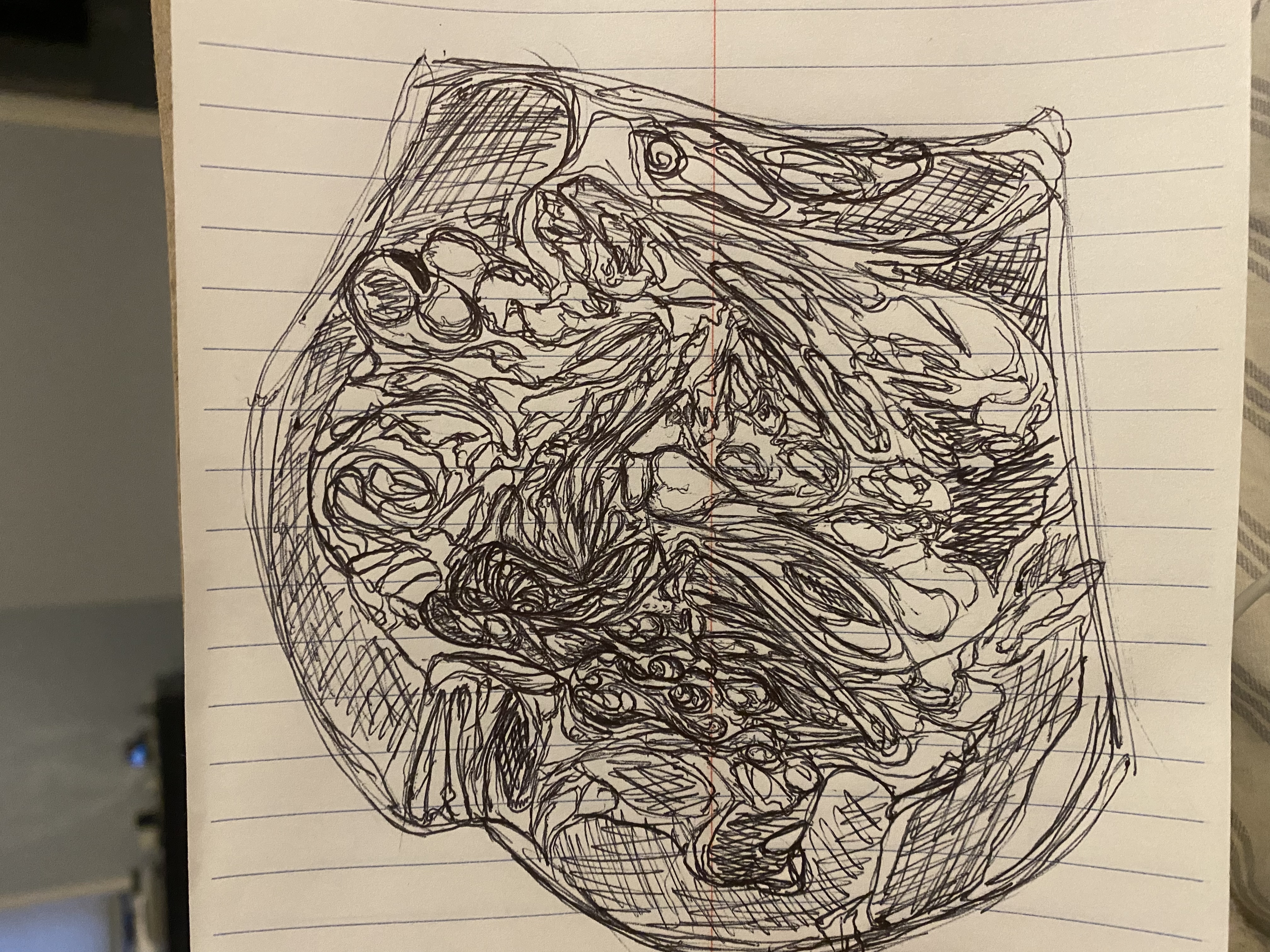 7FB3398E-CEDC-4B6E-993B-D