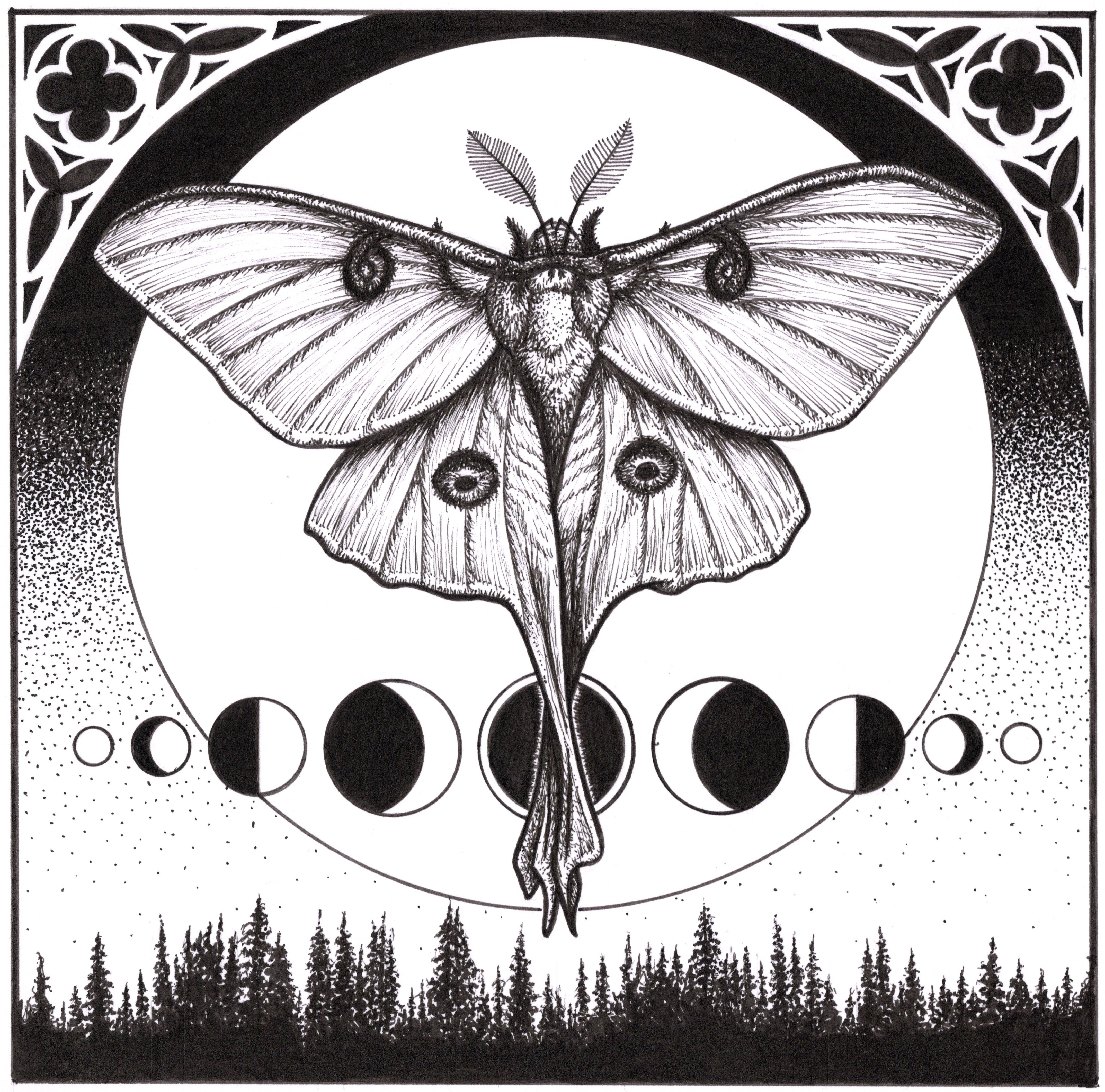 Actius_Luna_by_Ryan_Miller