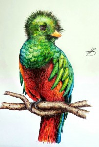 Quetzal