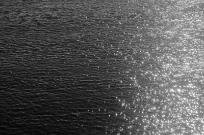 Sparkling Ocean - Black and White