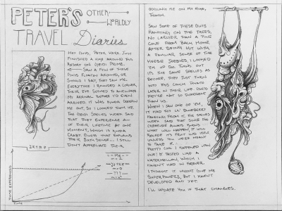 Peter's Otherworldy Travel Diary entry