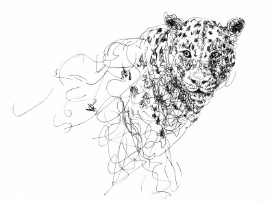 Jaguar Doodle