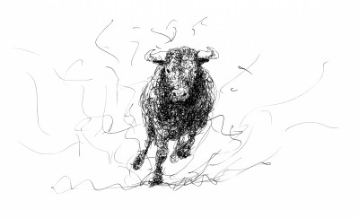 Bull Doodle