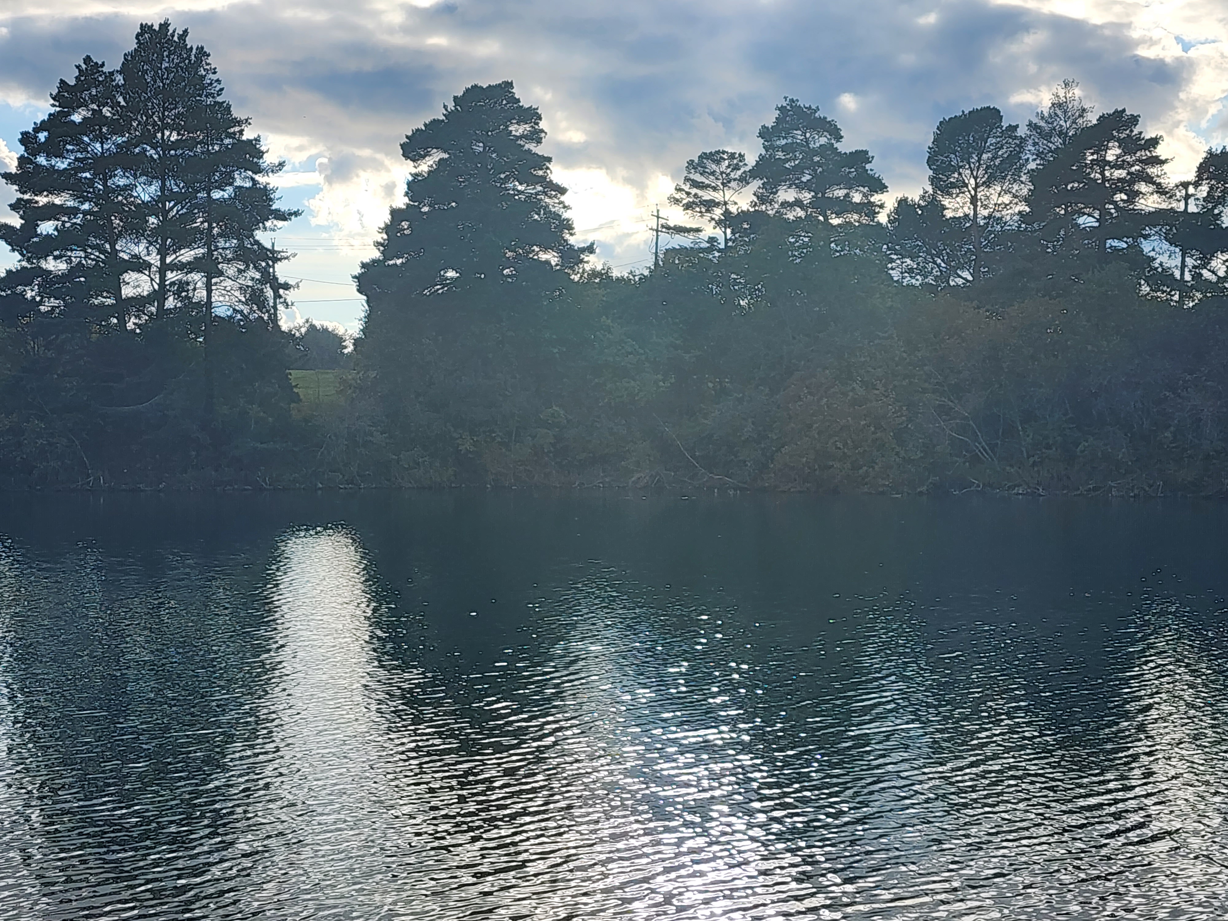 inbound7365866201614842958