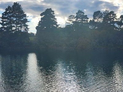 Picnic with seagulls