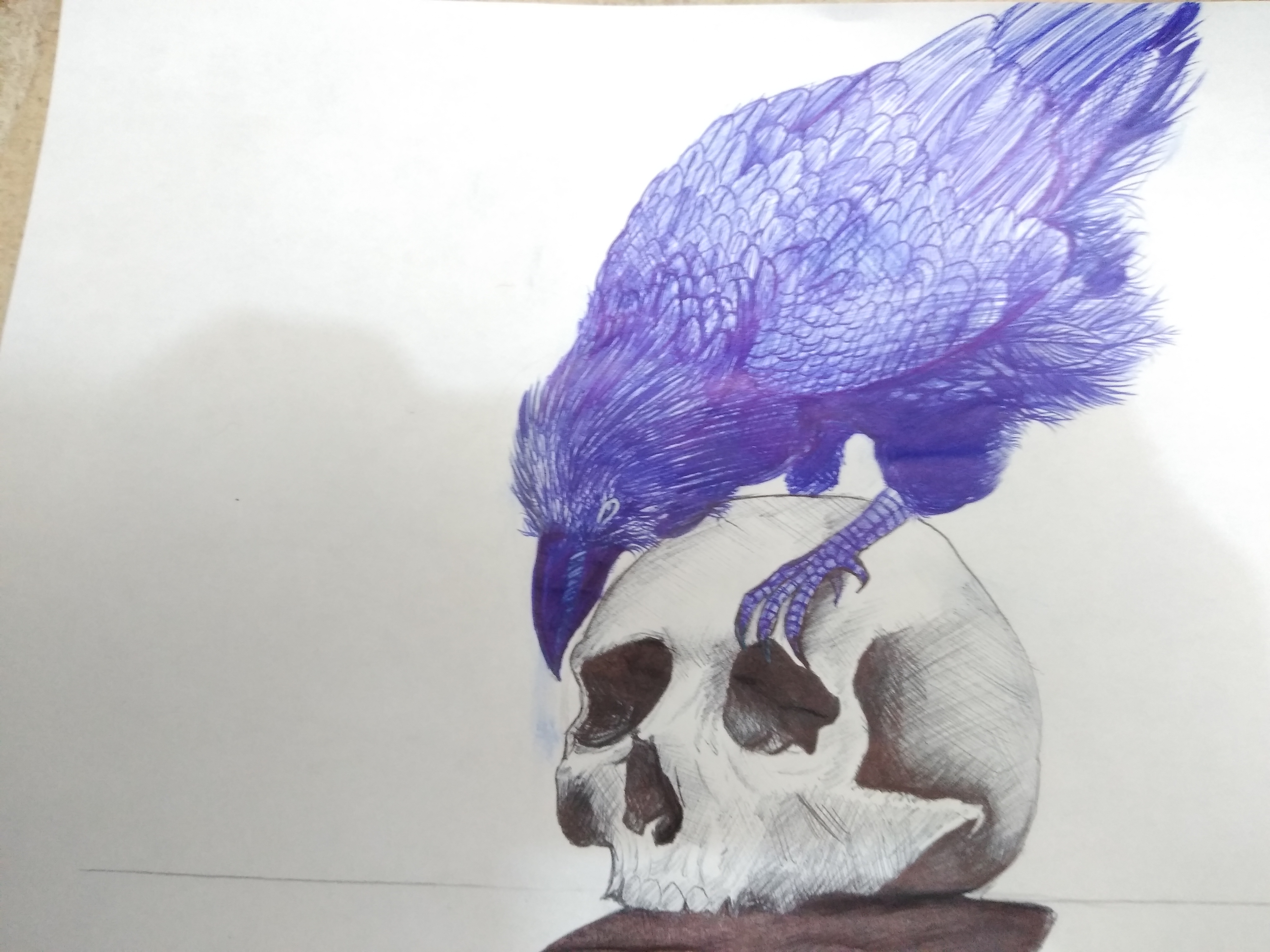 16016893715632990665721302