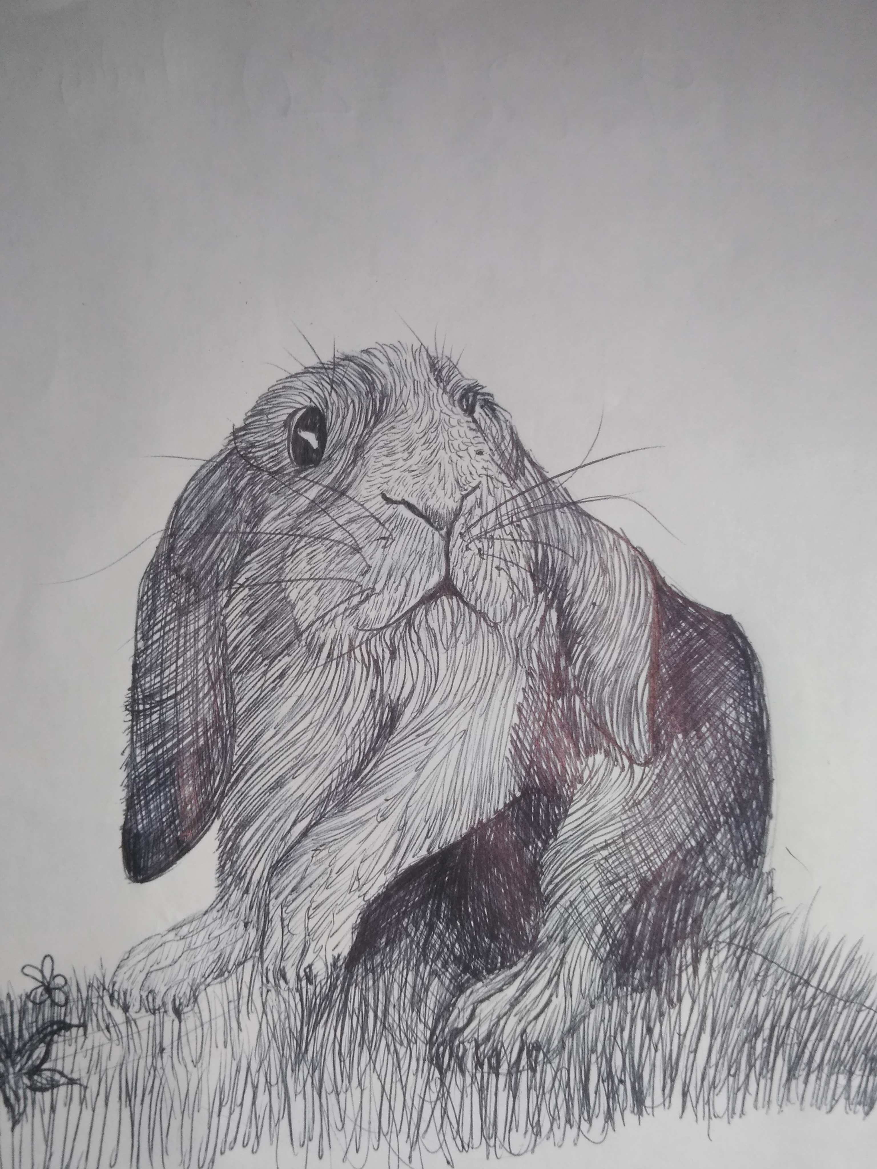 16023005030421209356383605