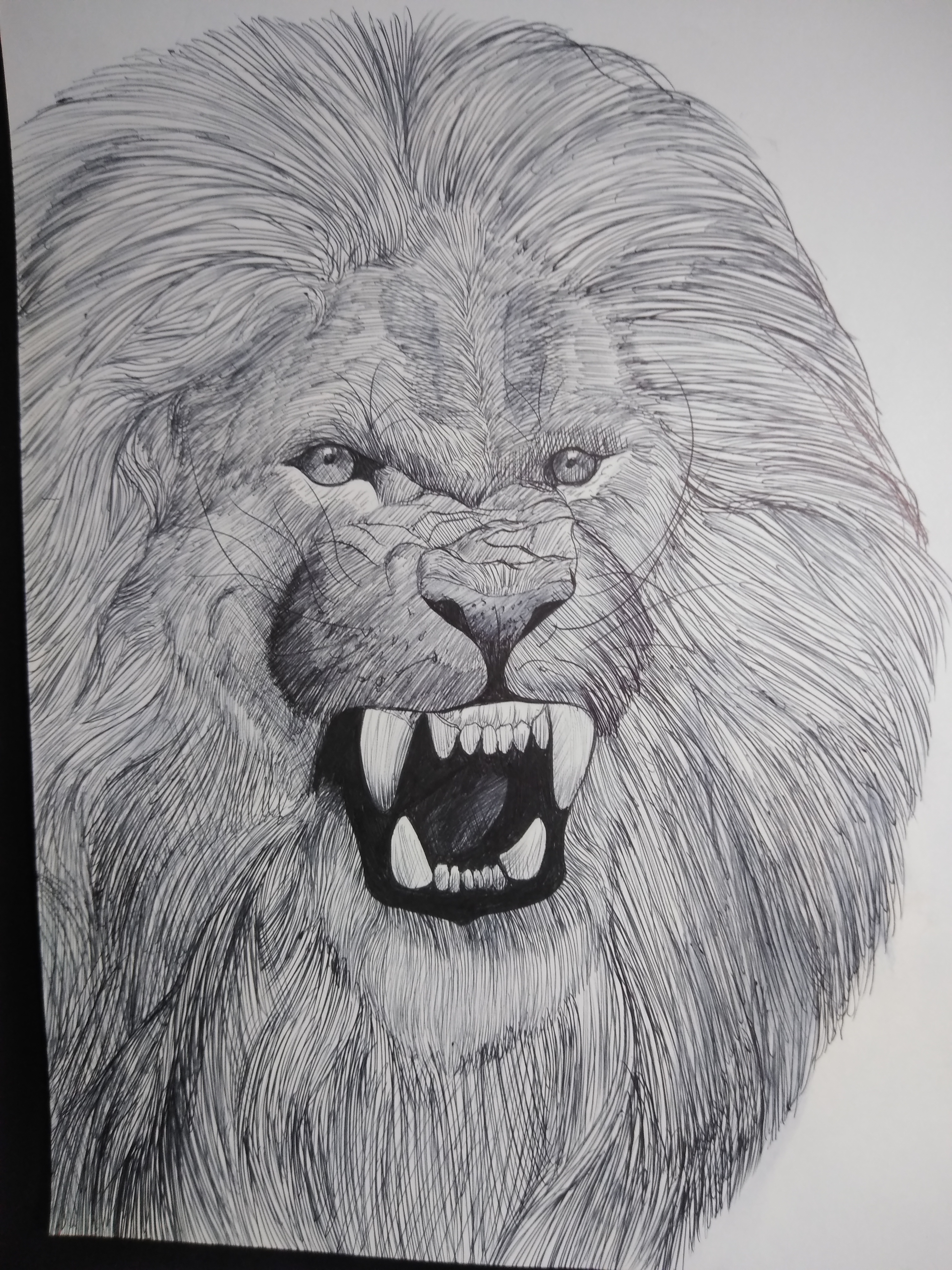 16023856114423089783689772