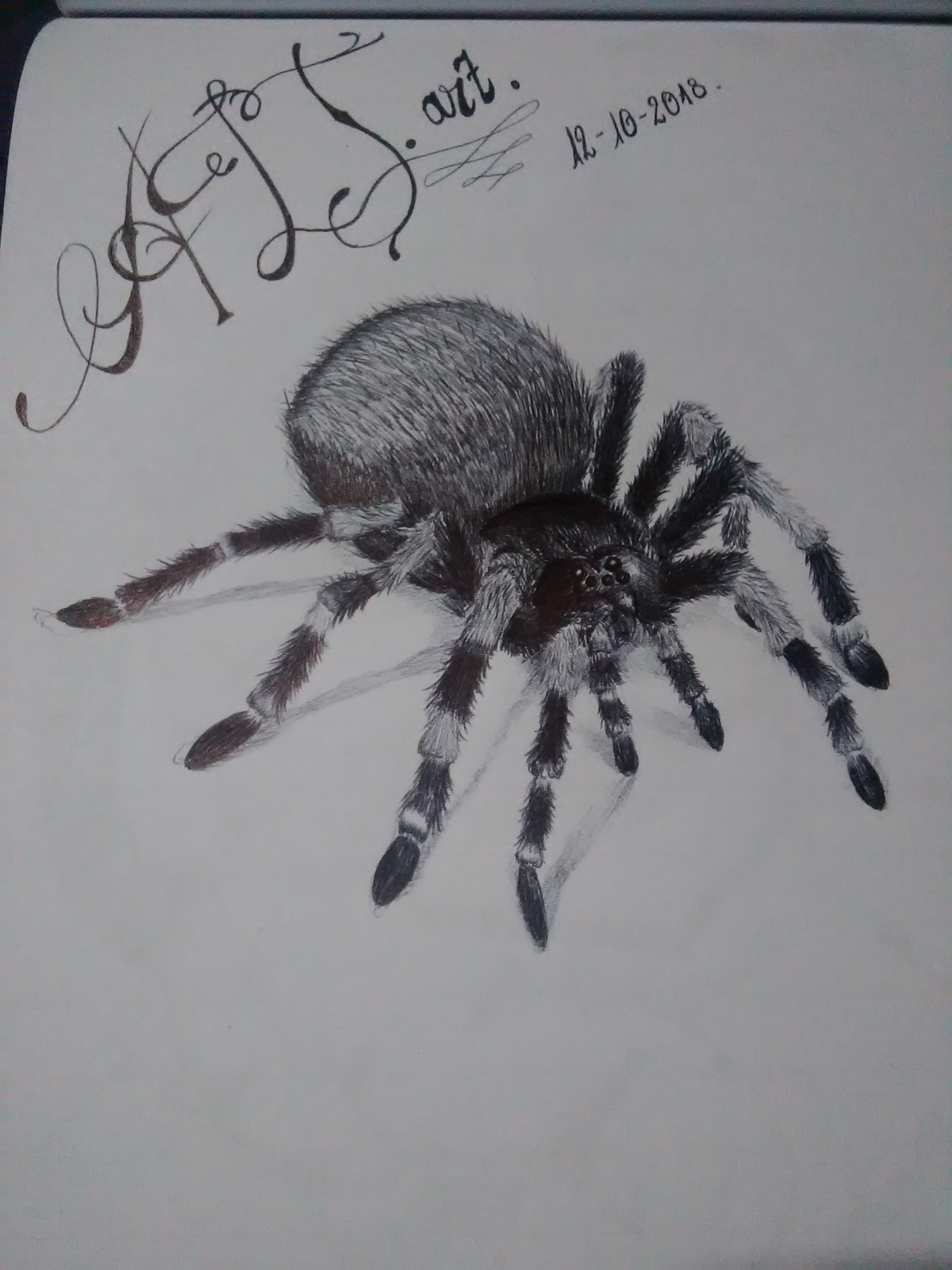 1602464620423-727511396