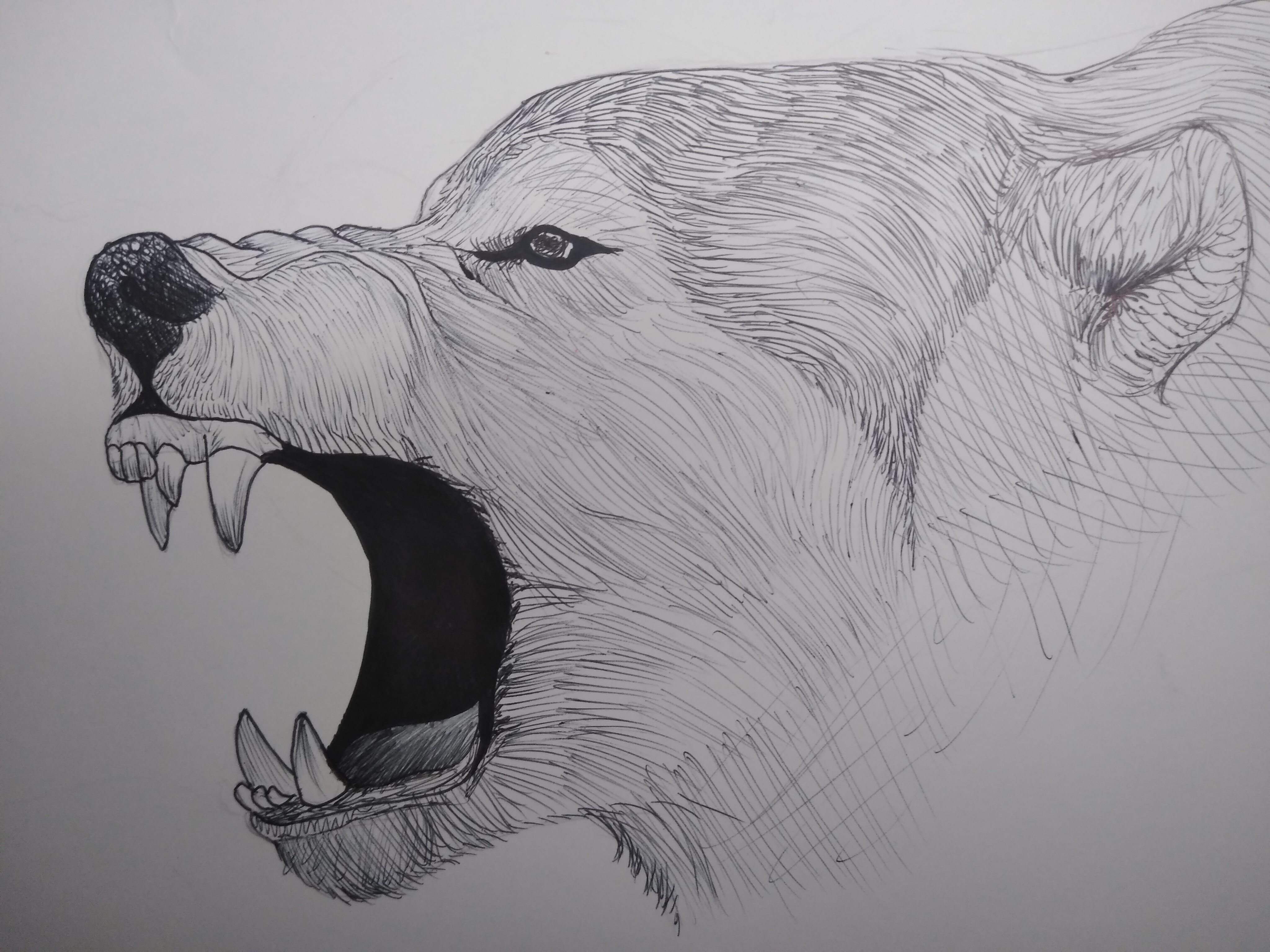 16029904614439087182133383