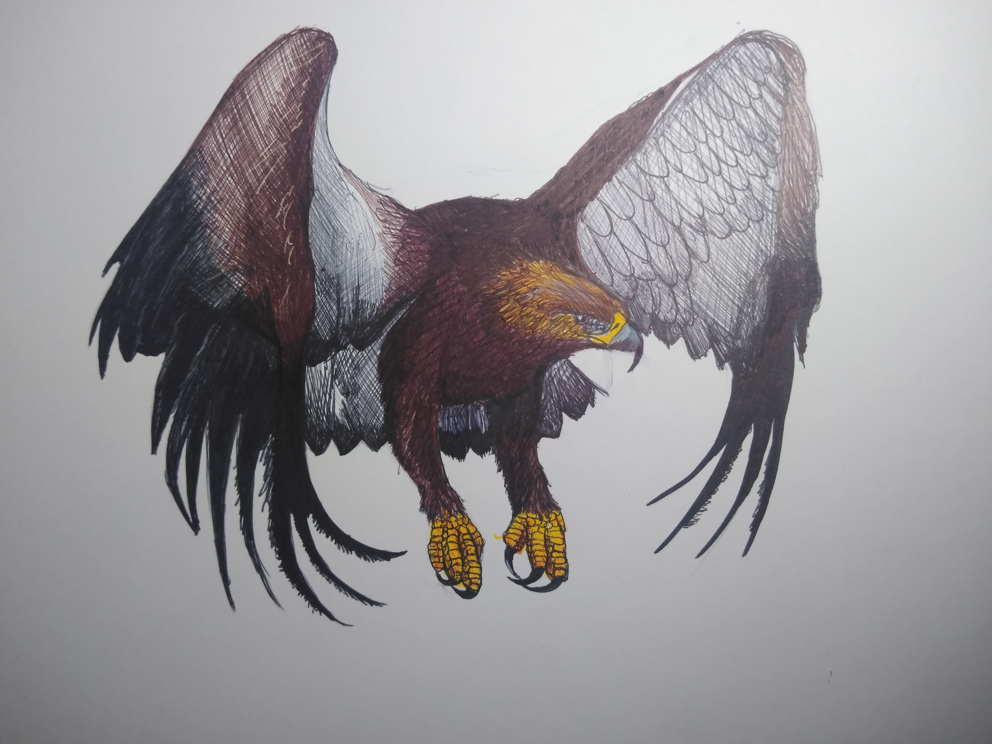 16031668001584325438850005