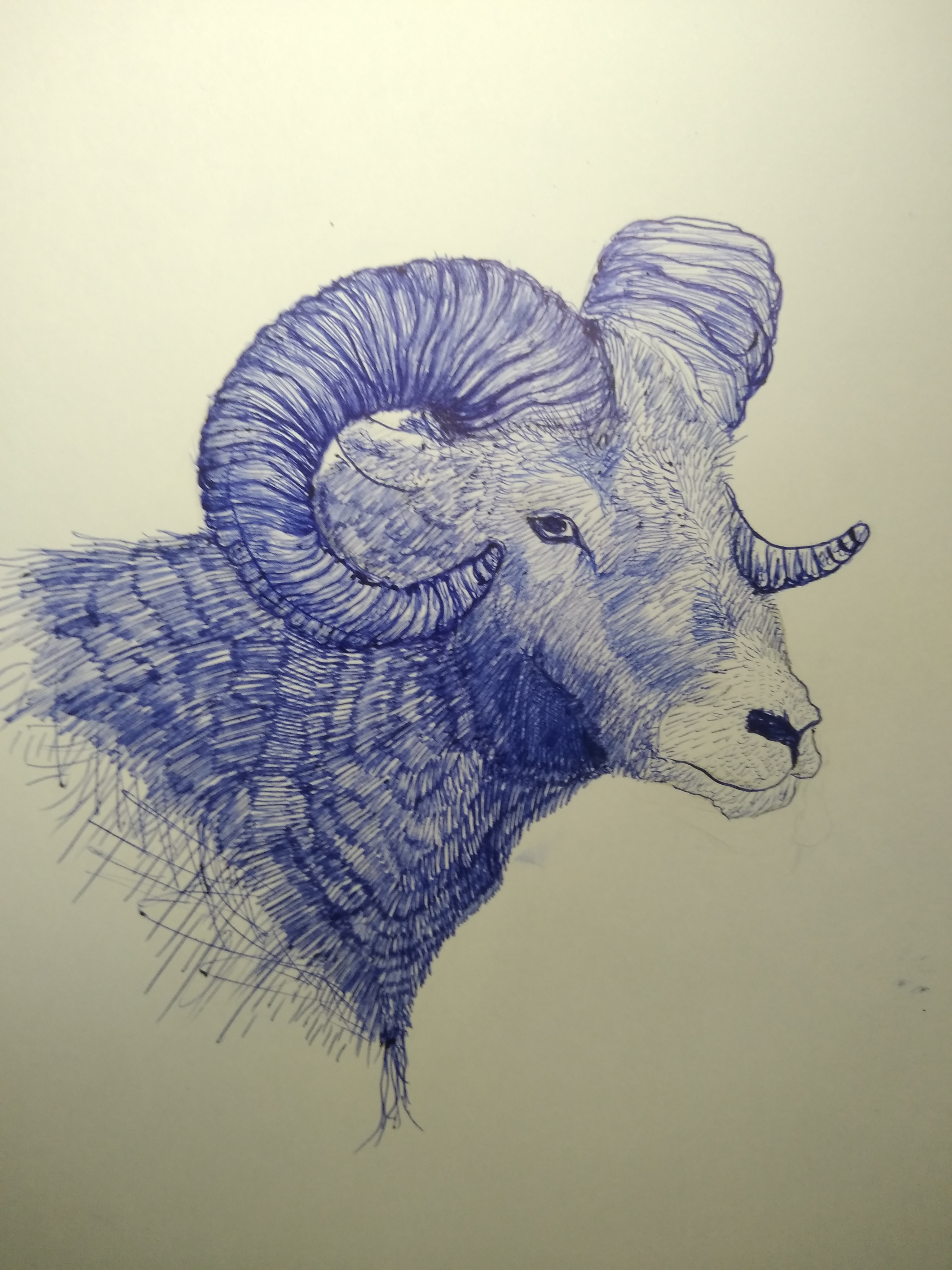 16035102271794416602166120