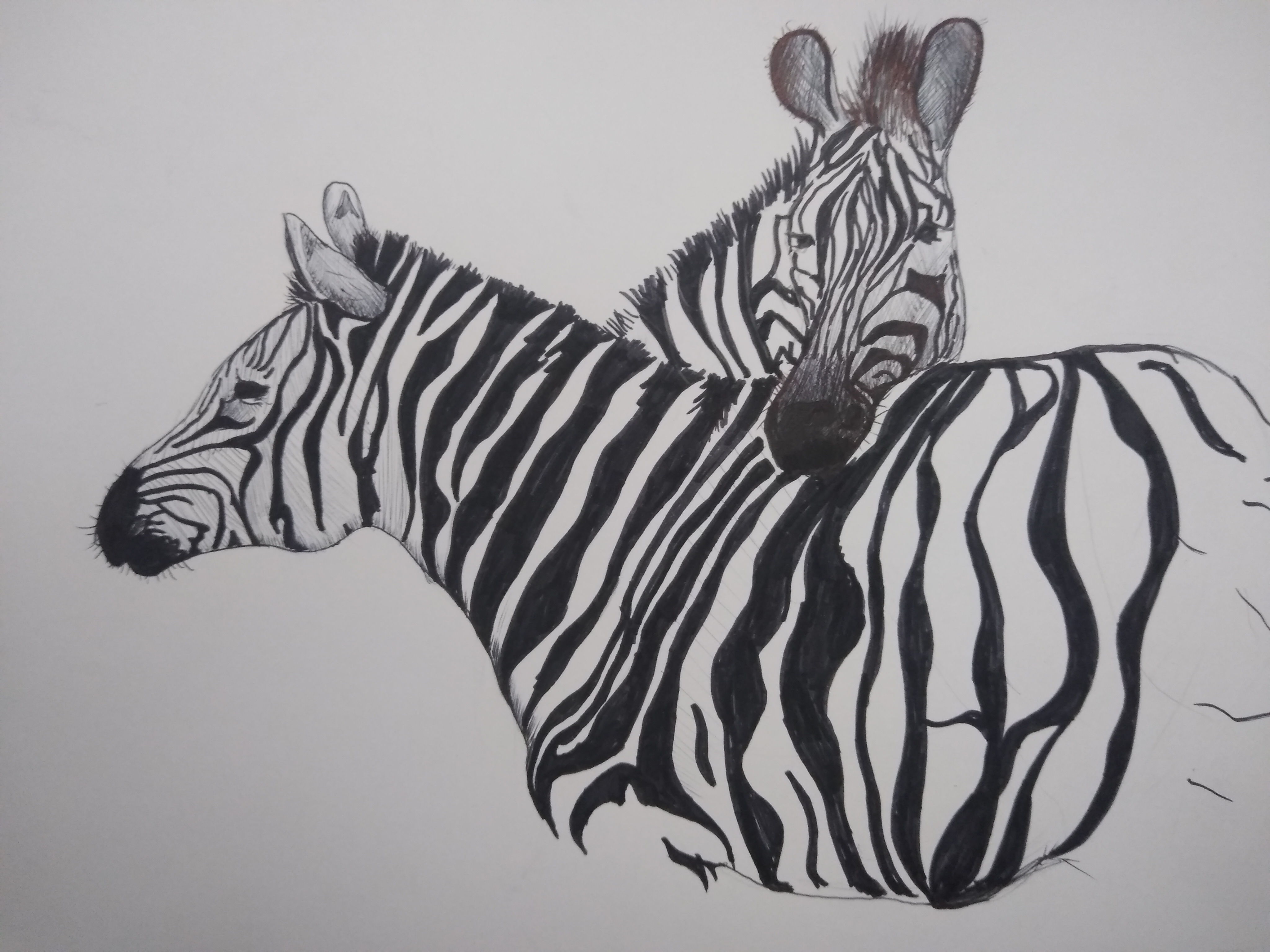 16035975143041176338323619