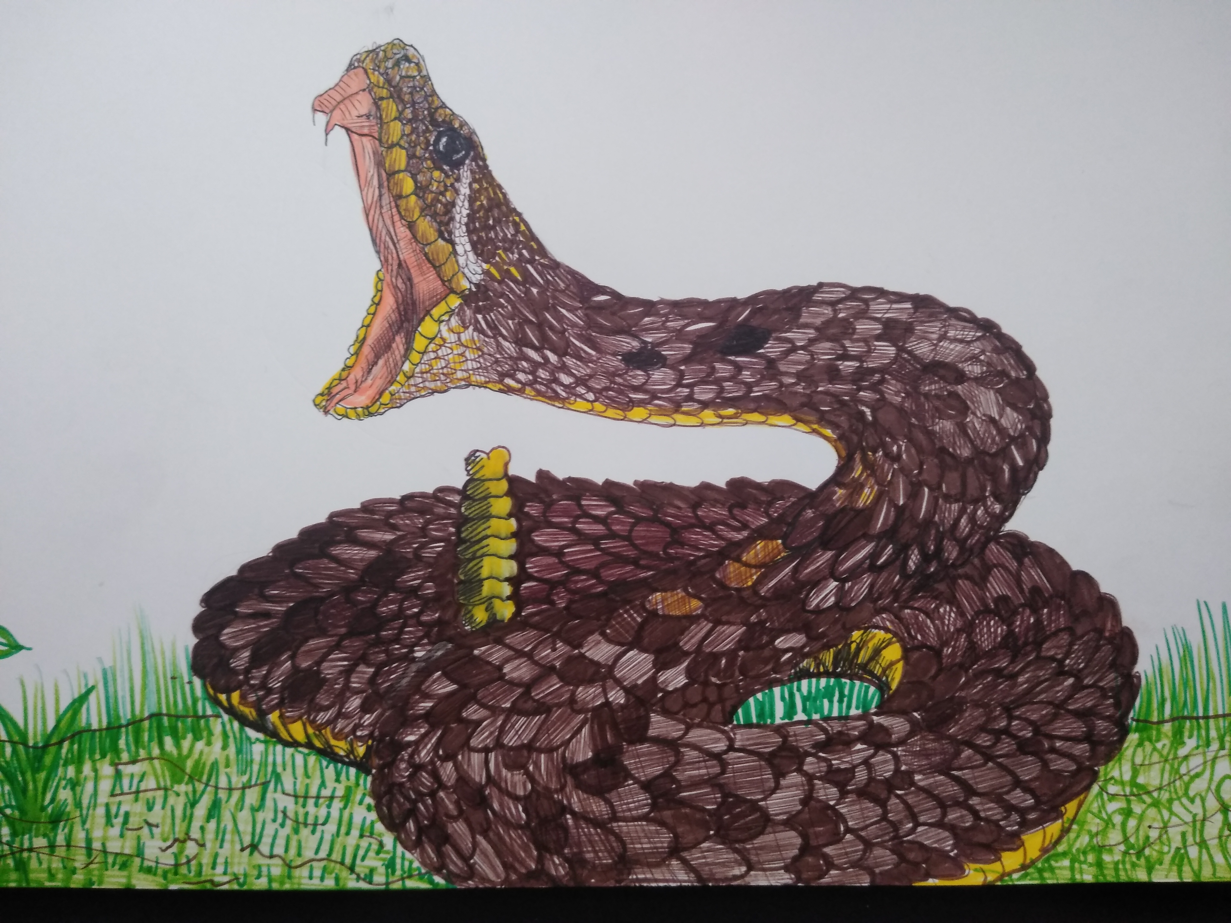 16036831936113382550810538