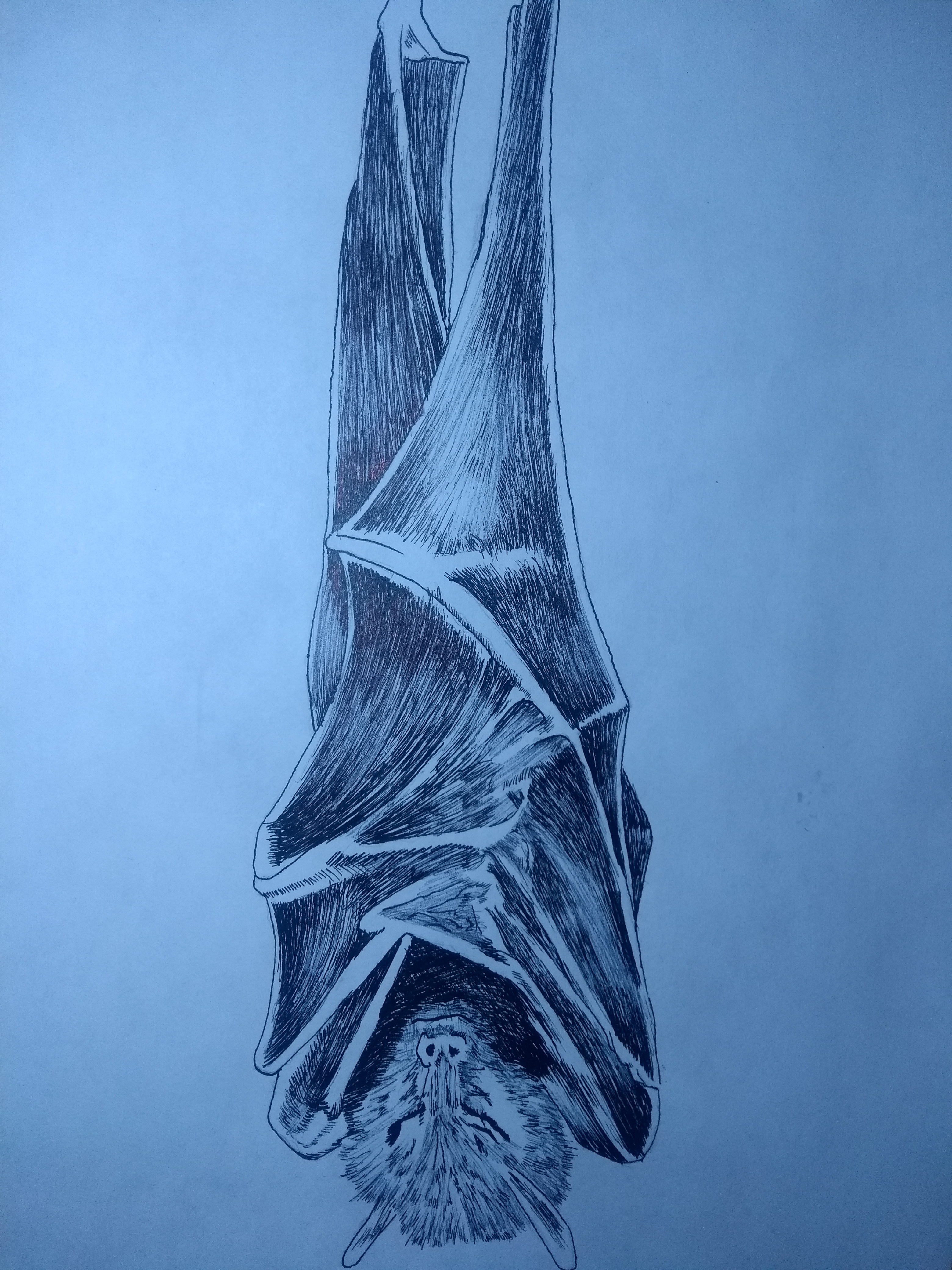 16039403440599079878397249