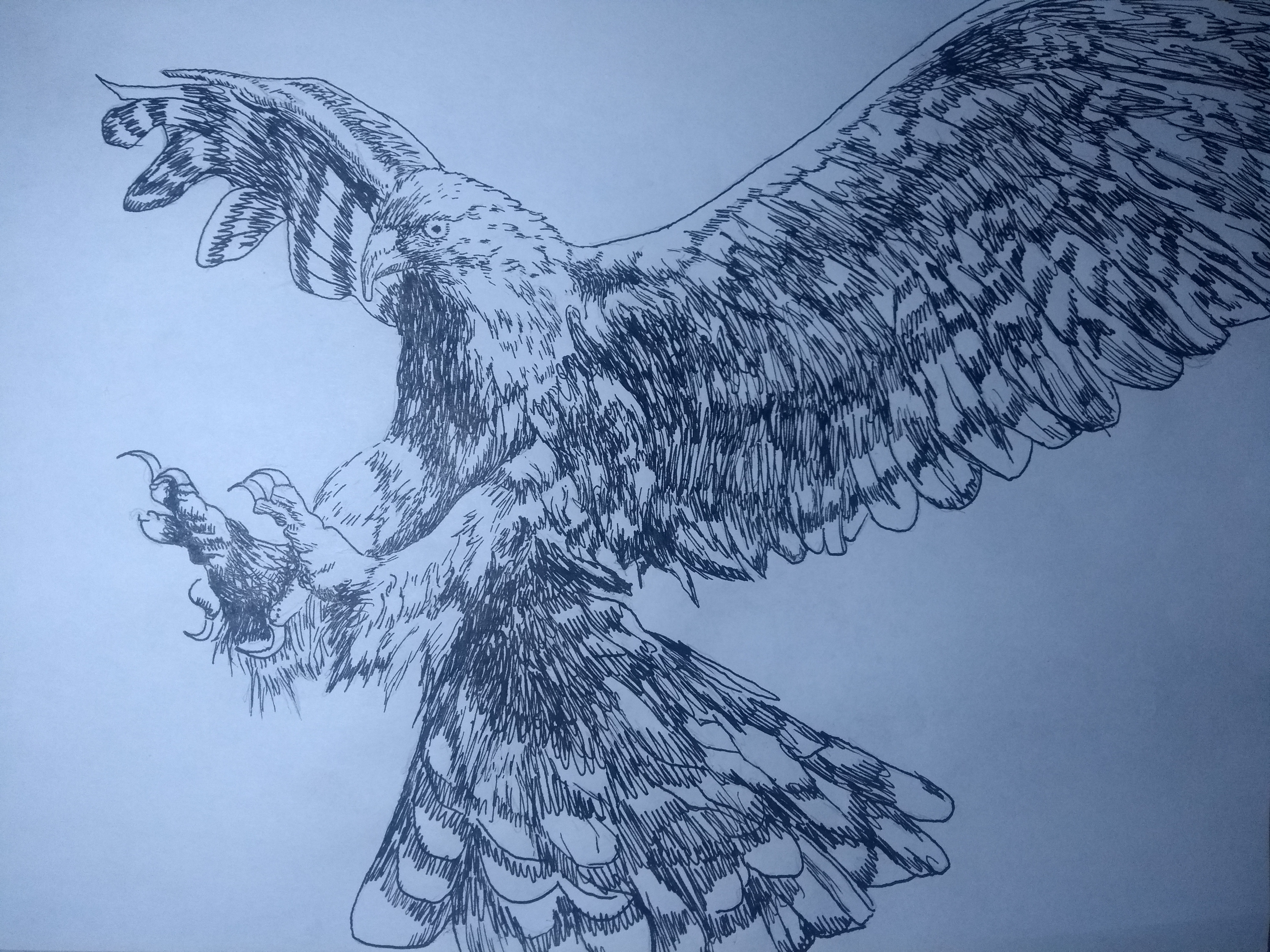 16039860940363447690527918