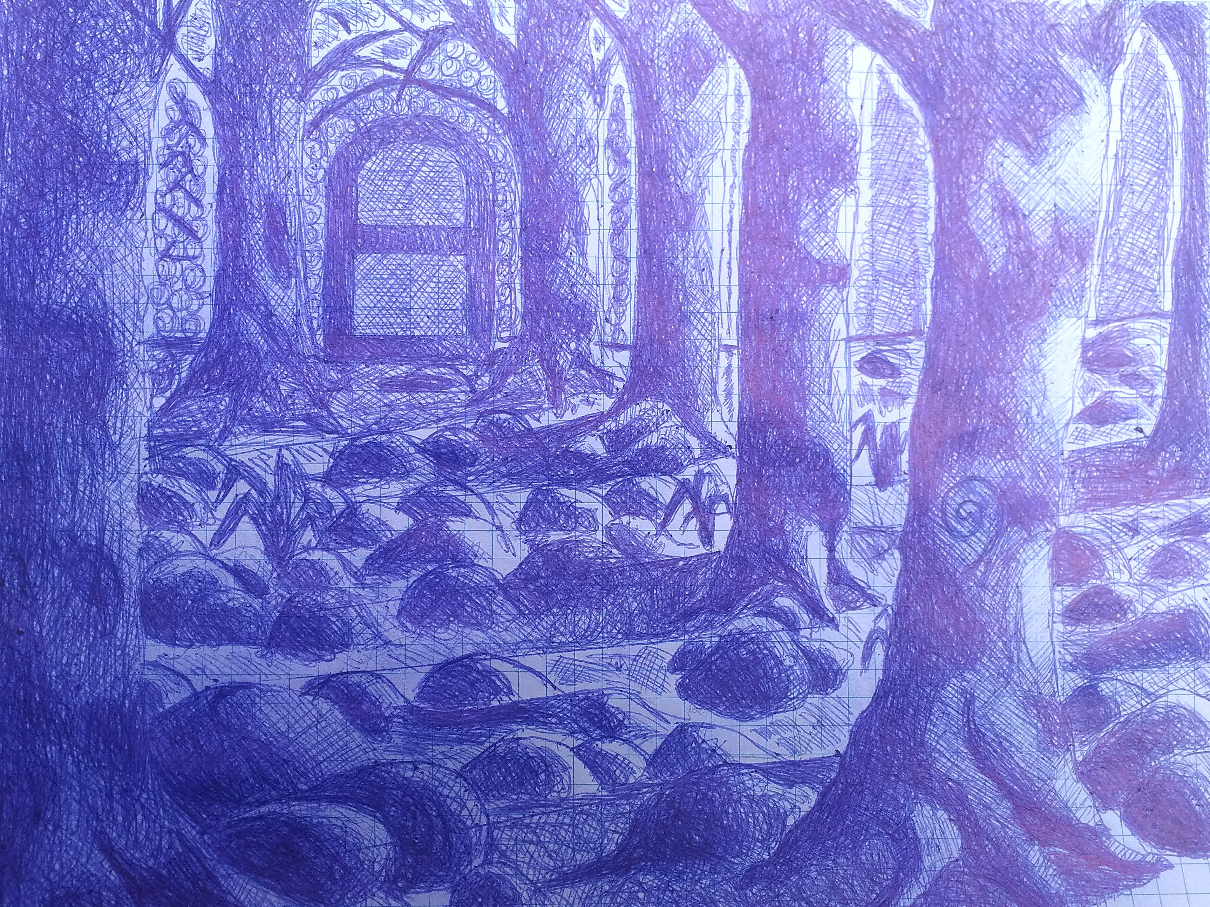 20201003_132041_kindlephot