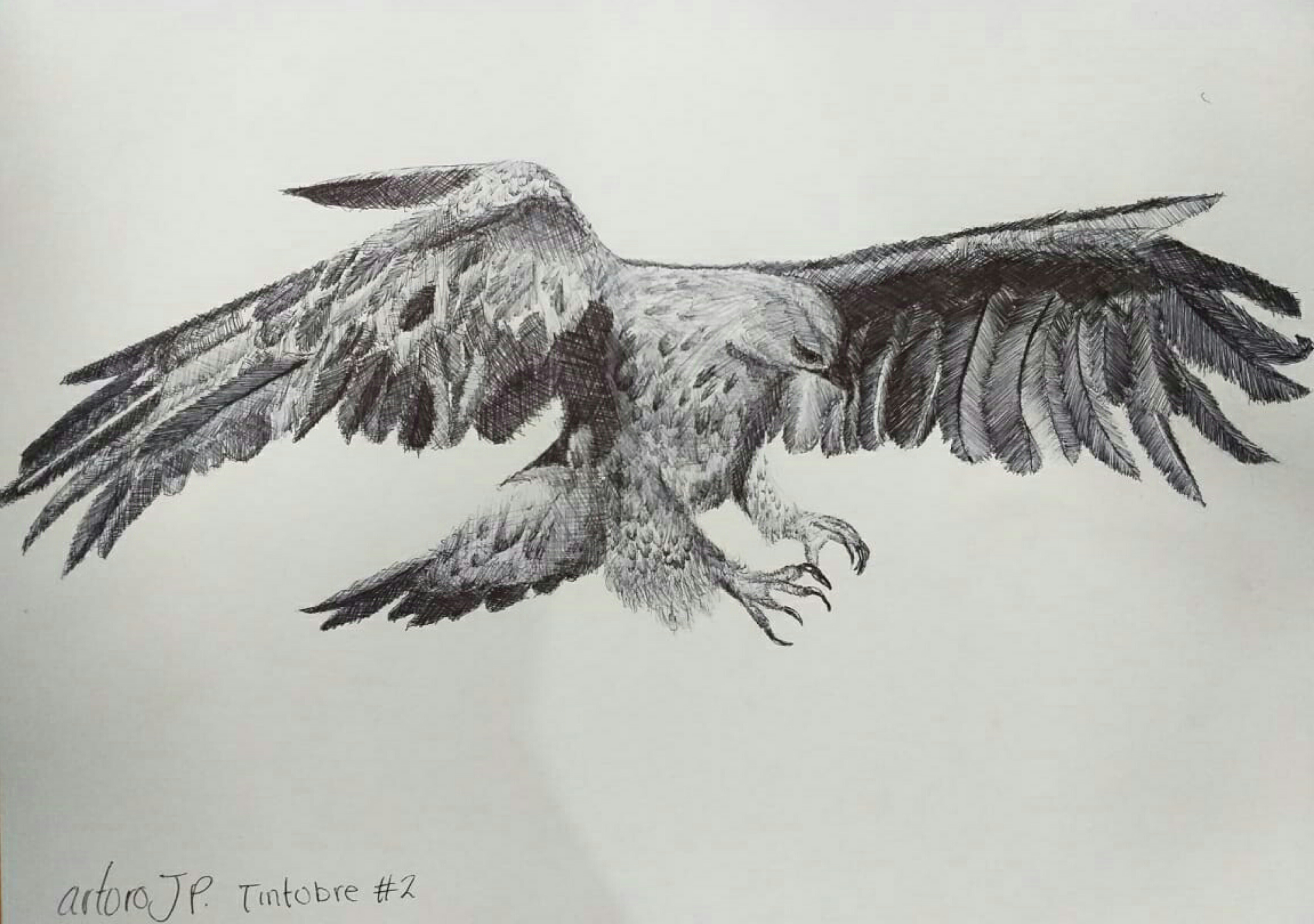 IMG_07102020_185705_(7111_